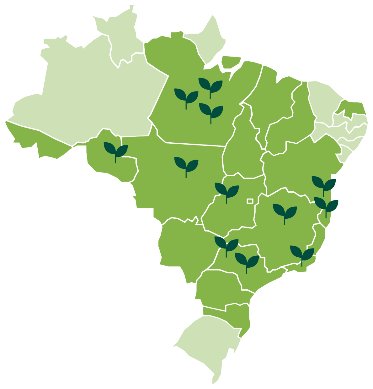 Mapa dos estados com atuação da Silva